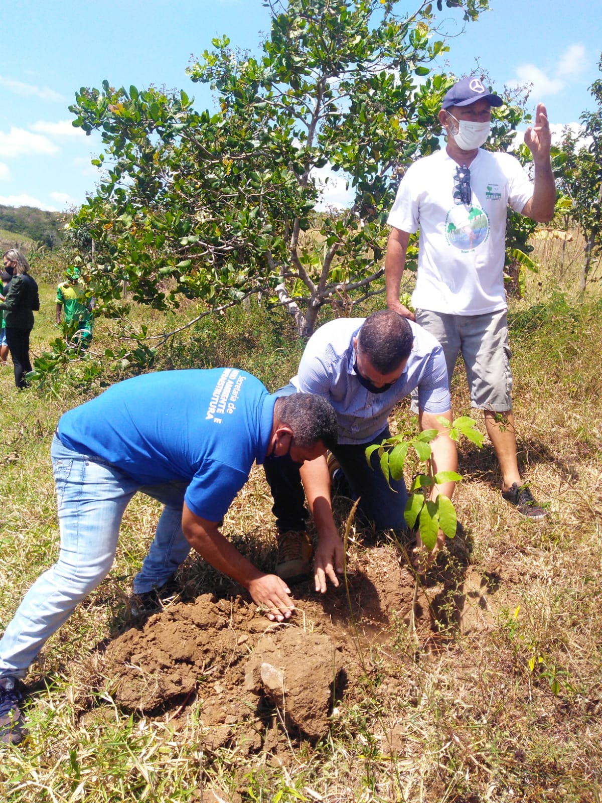 Dia da Árvore: Prefeitura planta mudas e elabora plano de arborização para Sapé