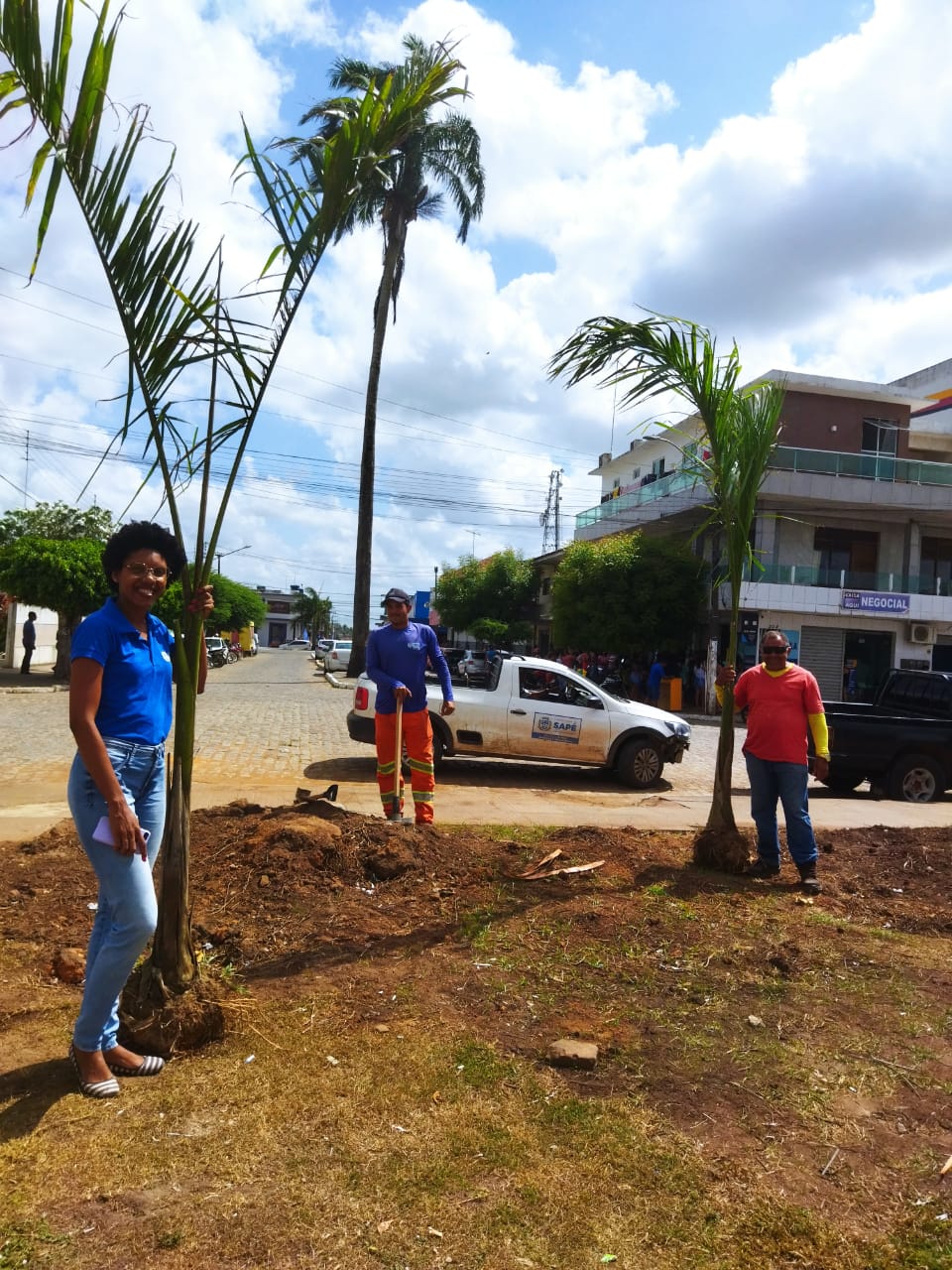 Secretaria de Meio Ambiente substitui palmeiras imperiais em praça de Sapé